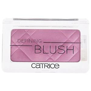 رژ گونه کاتریس مدل Defining شماره 110 Catrice Blush 