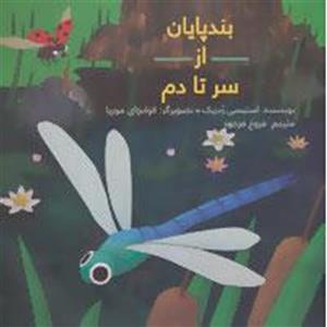 بندپایان از سر تا دم