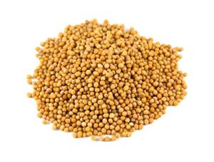 دانه خردل زرد 250 گرم وجیسنک