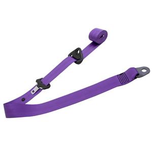 نوار کمربند ایمنی خودرو کد  P700-FLR