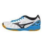 کفش فوتسال میزانو سالا پرمیوم Mizuno Sala Premium Q1GA145014