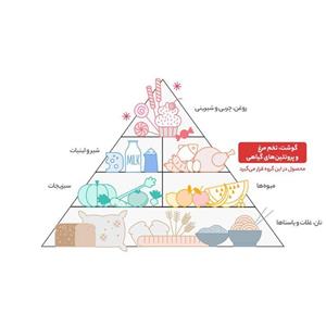 میگو سایز 110-91 بیستون وزن 500 گرم