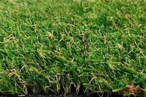 موکت ظریف مصور طرح چمن مصنوعی 900 گرمی