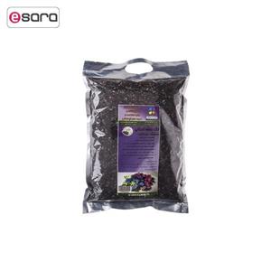 خاک بنفشه آفریقایی گلباران سبز بسته 1 کیلوگرمی Golbarane Sabz Kg African Violet Soil Fertilizer 