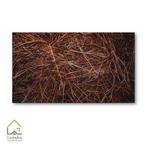 تابلو دیواری طرح تنش