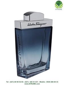 عطر و ادکلن مردانه Salvatore Ferragamo SUBTIL MAN EDT 