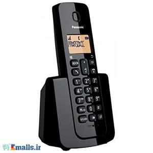 تلفن بی سیم پاناسونیک مدل تی جی بی 110 Panasonic KX-TGB110 Wireless Telephone