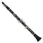 کلارینت  YAMAHA  YCL-255 Clarinet