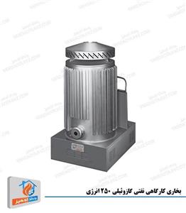 انرژی بخاری کارگاهی نفتی گازوییلی DW0250 