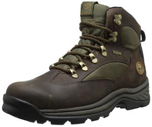 قیمت و خرید Timberland Men's Chocorua Trail Mid Waterproof Hiking Boot  15130 Brown