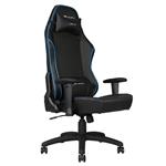 E-WIN Gaming 400 lb Big and Tall Office Chair,Ergonomic Racing Style Design with Wide Seat High Back Adjustable Armrest,Black Blue