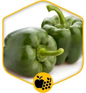 بذر فلفل دلمه پاکان بذر Pakan Bazr Bell Pepper Seeds