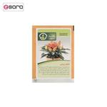 Pakan Bazr Ornamental Pepper Seeds