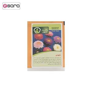 بذر گل داوودی پاکان بذر Pakan Bazr Chrysanthemums Flower Seeds