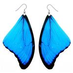 Real Blue Morpho Butterfly Wing Earrings - Handmade Insect Jewelry