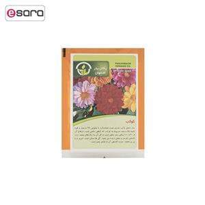 بذر گل کوکب پاکان بذر Pakan Bazr Dahlia Flower Seeds