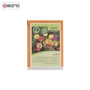 بذر گل ناز آفتابی پاکان بذر Pakan Bazr Sedum Sun Flower Seeds