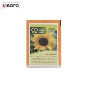 بذر گل آفتابگردان زینتی پاکان بذر Pakan Bazr Ornamental Sunflowers Flower Seeds