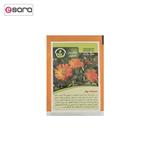 Pakan Bazr Marigold Flower Seeds