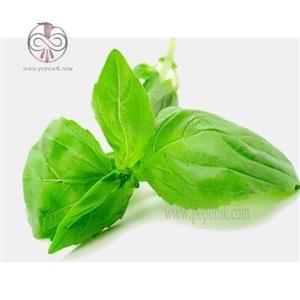 بذر ریحان سبز پاکان بذر Pakan Bazr Basil Seeds