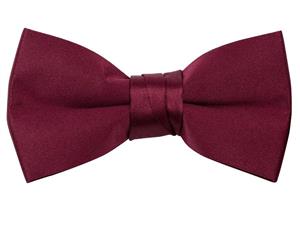 Spring Notion Boys' Pre-tied Banded Satin Bow Tie