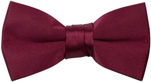 Spring Notion Boys' Pre-tied Banded Satin Bow Tie