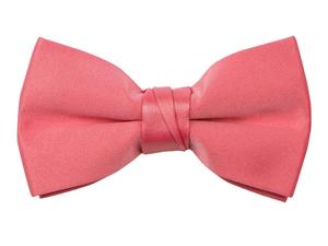 Spring Notion Boys' Pre-tied Banded Satin Bow Tie