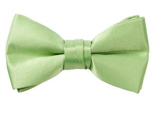 Spring Notion Boys' Pre-tied Banded Satin Bow Tie