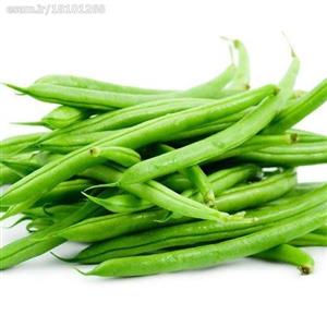 بذر لوبیا سبز پاکان بذر Pakan Bazr Green Bean Seeds