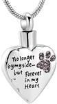 memorial jewelry No Longer by My Side,But Forever in My Heart Carved Locket Cremation Urn Necklace for Pet Dog Cats