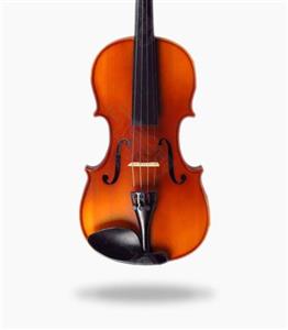 ویولن TF 3/4 student TF Student Size 3/4 Violin