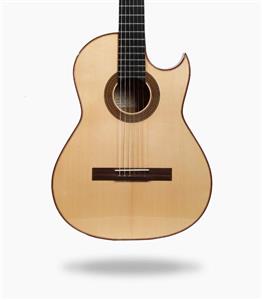 گیتار رامین فلاح Maple