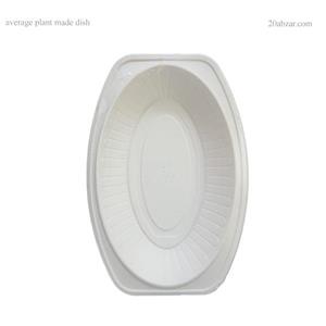 دیس یکبار مصرف گیاهی متوسط بسته 6 و 100 عددی