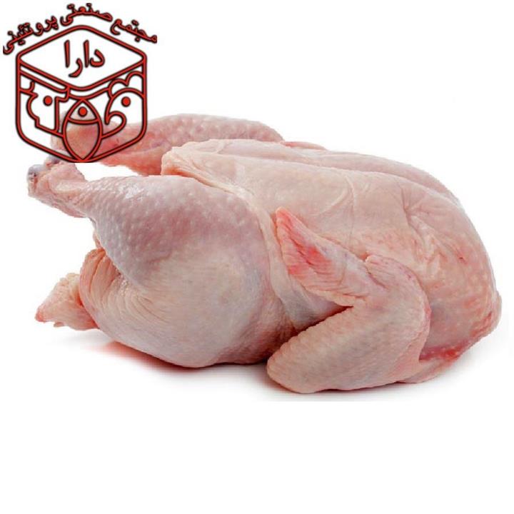 جوجه مرغ کامل