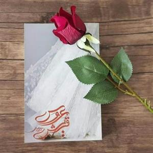 کتاب عروس قریش اثر مریم بصیری