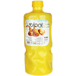 روغن مایع سرخ کردنی 2700 گرم Vioni