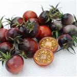 بذر گوجه فرنگی بلوبری آمریکایی بسته 10 عددی