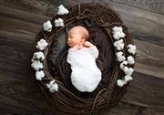 SkillShare Newborn Photography - Prepping, Posing, and Lifestyle