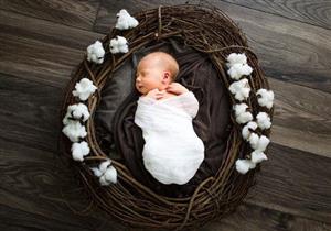 SkillShare Newborn Photography - Prepping, Posing, and Lifestyle 