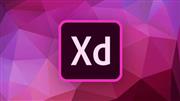 Udemy Adobe XD Course