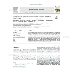 Microplastics in oysters Saccostrea cucullata along the Pearl River Estuary China 