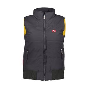 جلیقه زنانه کد af0055 رنگ طوسی