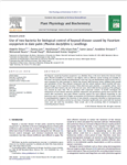 Use of two bacteria for biological control of bayoud disease caused by Fusarium oxysporum in date palm (Phoenix dactylifera L) seedlings