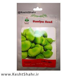 بذر باقلا گلباران سبز Golbaranesabz Broad Bean Tanyeri Seeds