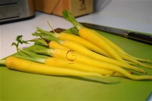 بذر هویج زرد گلباران سبز Golbaranesabz Yellow Carrot Seeds