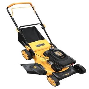 چمن زن بنزینی اینکو مدل GLM196201 -