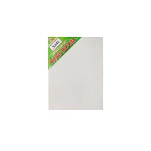 بوم نقاشی پارس بوم مدل PB30 سایز 30x40 سانتی متر