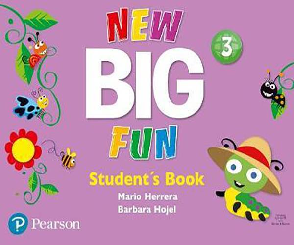 New Big Fun 3 work book