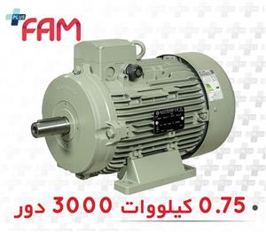 الکتروموتور الکتروژن سه فاز 0.75 کیلووات 3000 دور 