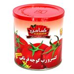 رب گوجه فرنگی پیک 800 گرم  